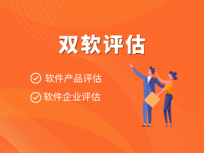 双软评估